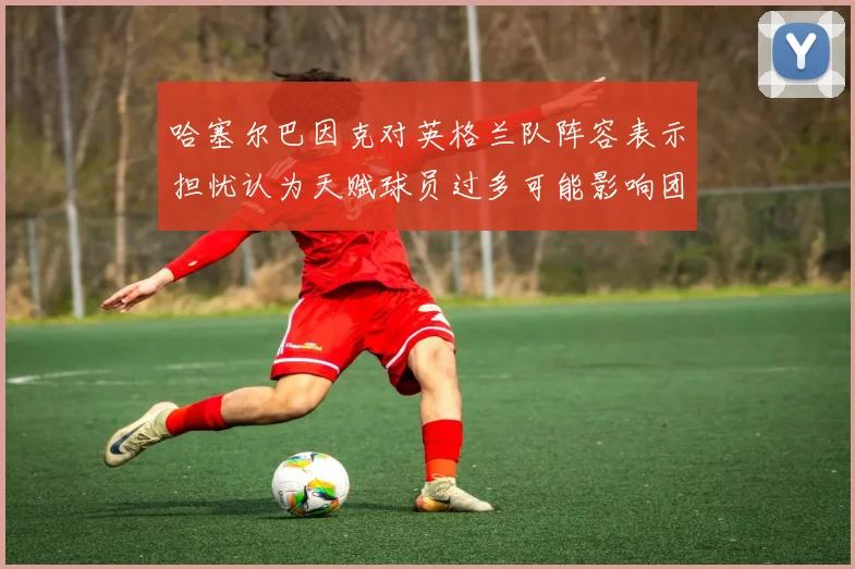 哈塞尔巴因克对英格兰队阵容表示担忧认为天赋球员过多可能影响团队合作