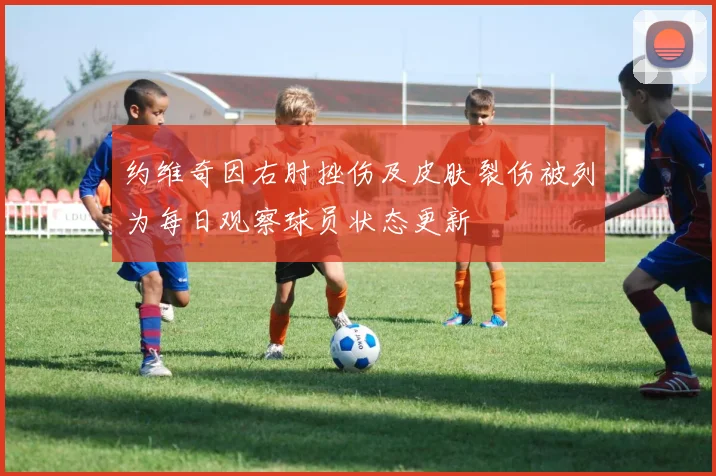 约维奇因右肘挫伤及皮肤裂伤被列为每日观察球员状态更新