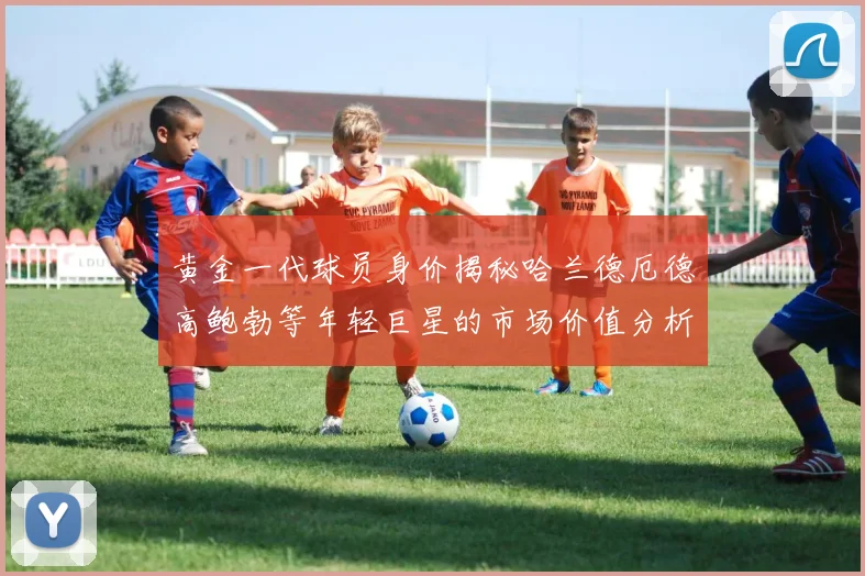 黄金一代球员身价揭秘哈兰德厄德高鲍勃等年轻巨星的市场价值分析